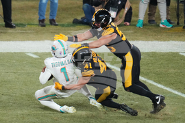 Dolphins Steelers Football