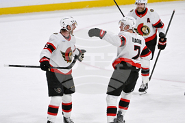 Senators Jets Hockey