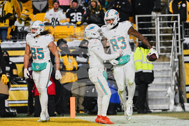 Dolphins Steelers Football