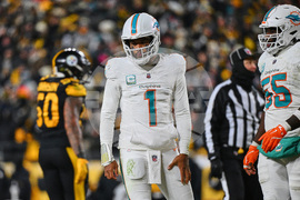 Dolphins Steelers Football