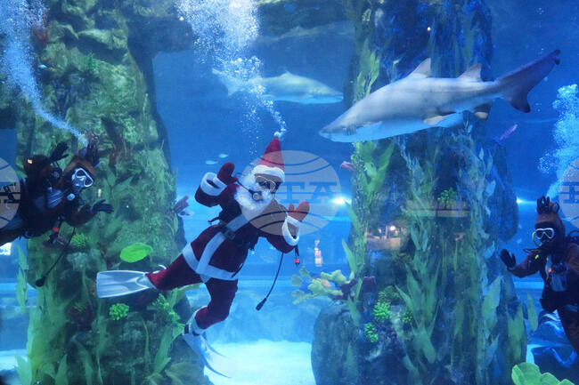 South Korea Christmas Preparations