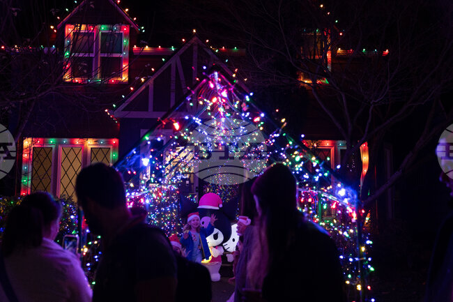 Oregon Daily Life Holiday Lights