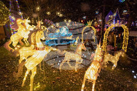 Oregon Daily Life Holiday Lights