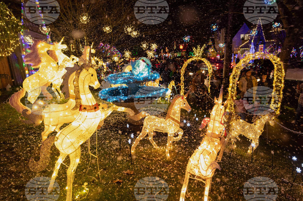 Oregon Daily Life Holiday Lights