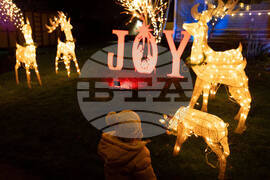 Oregon Daily Life Holiday Lights