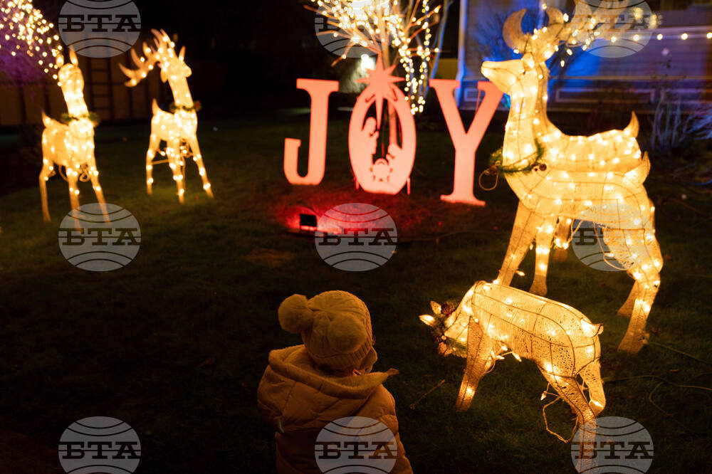 Oregon Daily Life Holiday Lights