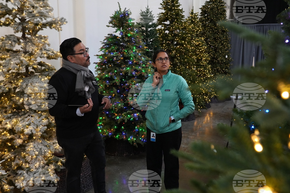 Tariffs Christmas Trees