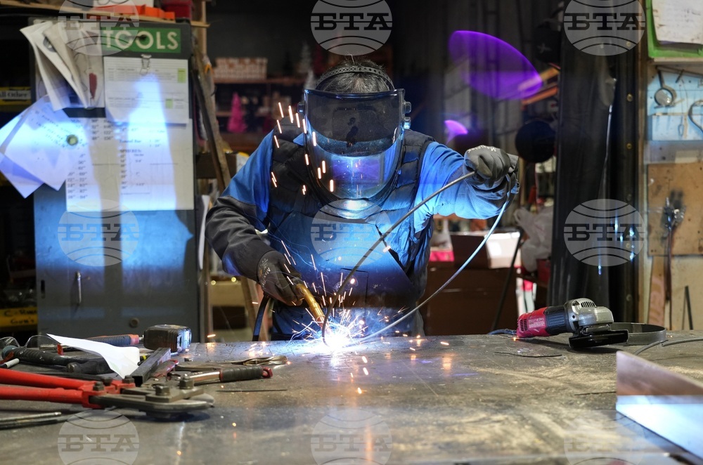 Tariffs Christmas Trees