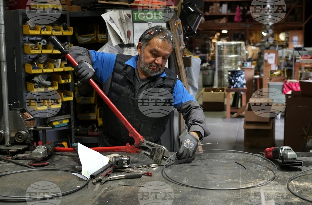 Tariffs Christmas Trees