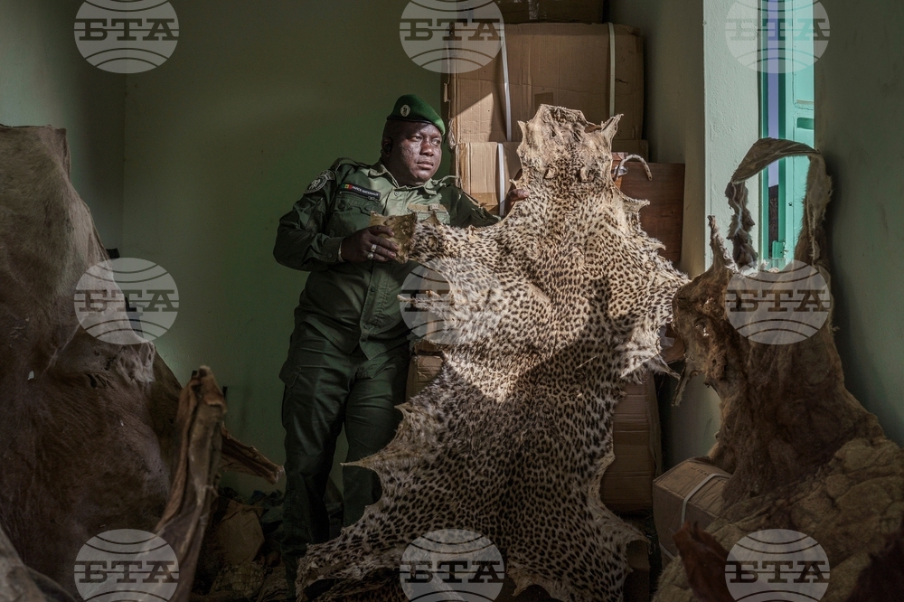 YE Africa 2025 Photo Gallery