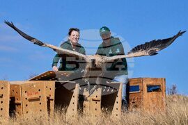 YE Africa 2025 Photo Gallery