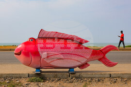 YE Africa 2025 Photo Gallery