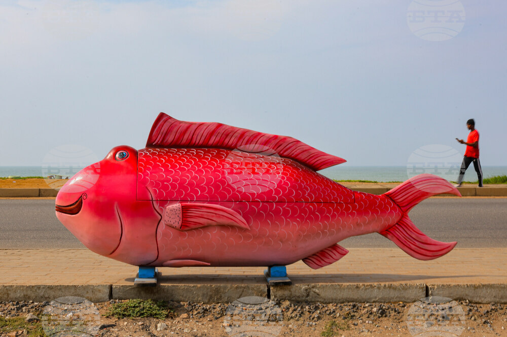 YE Africa 2025 Photo Gallery