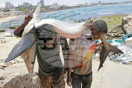 YE Africa 2025 Photo Gallery