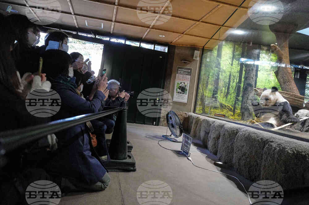 Хиляди хора се стичат в зоопарк в Токио, за да се сбогуват с пандите близнаци преди връщането им в Китай