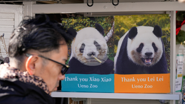 Япония ще върне на Китай двете панди близнаци на 27 януари