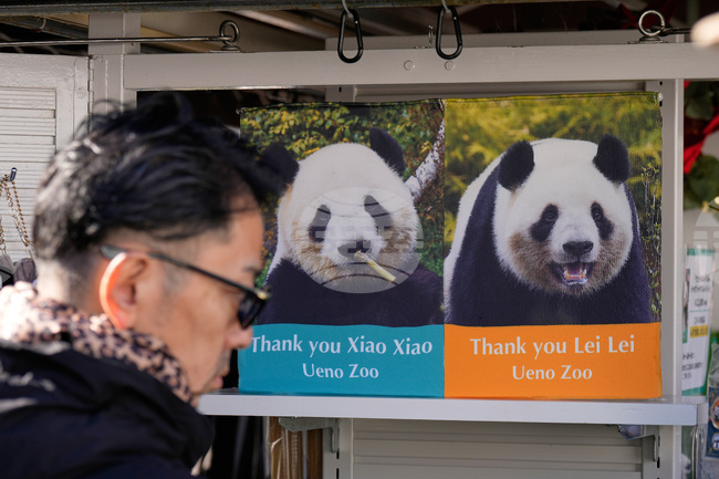 Япония ще върне на Китай двете панди близнаци на 27 януари