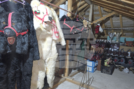 Петрич - група „Братя Соколови“ - подготовка за традиционните станчинарски игри „Сурва 2026“