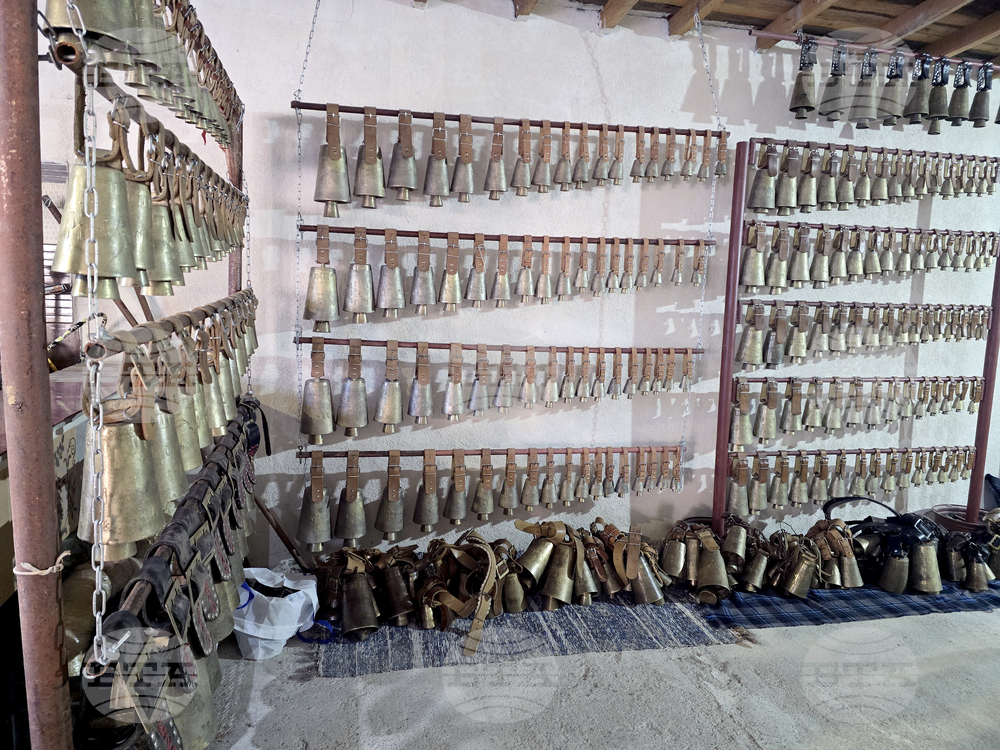 Петрич - група „Братя Соколови“ - подготовка за традиционните станчинарски игри „Сурва 2026“