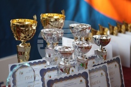 Българска федерация по борба - отличия