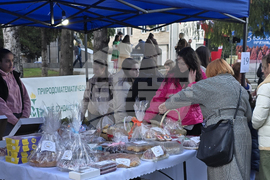 Гоце Делчев - Коледен базар