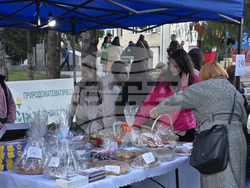 Гоце Делчев - Коледен базар