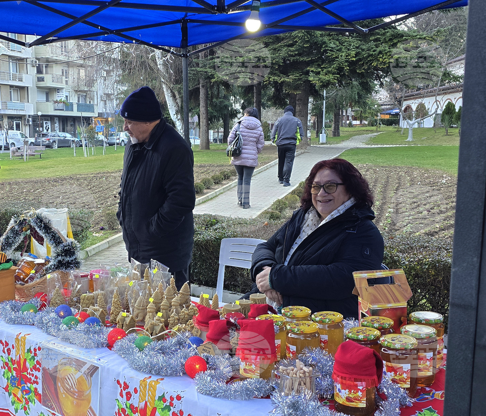 Гоце Делчев - Коледен базар