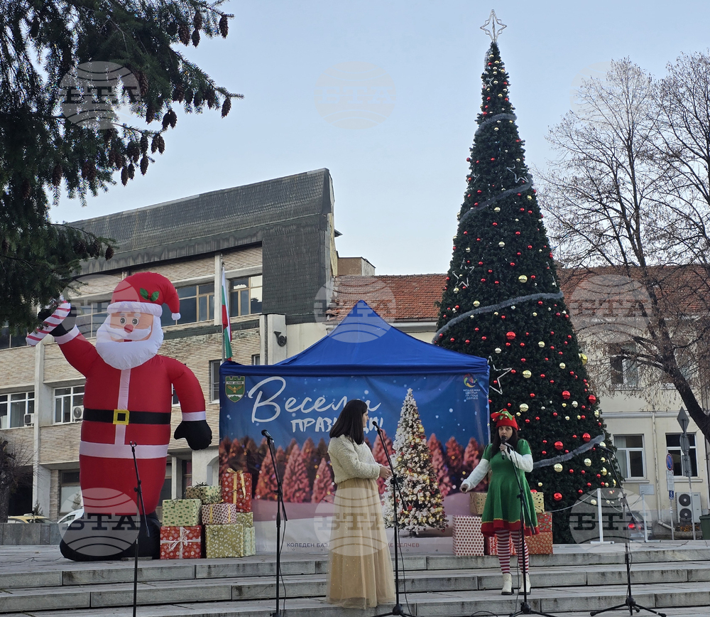 Гоце Делчев - Коледен базар