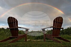 Gardening-Creating a Sanctuary