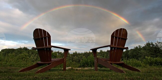 Gardening-Creating a Sanctuary
