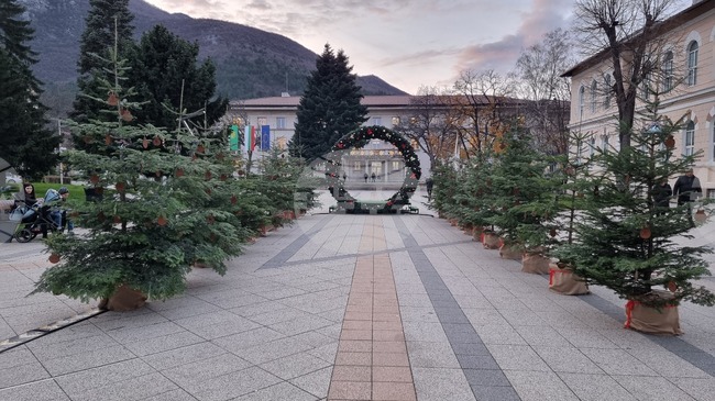 Обявиха имената на отличените ученици в инициативата „Да си знаещ е модерно! Жива елха за любознателни деца“ във Враца