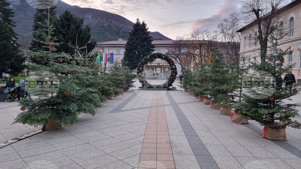 Обявиха имената на отличените ученици в инициативата „Да си знаещ е модерно! Жива елха за любознателни деца“ във Враца
