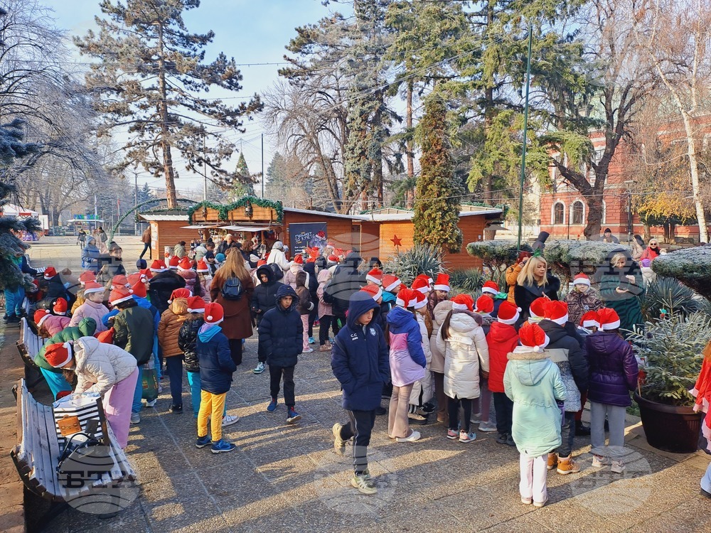 По инициатива на кмета на община Кюстендил днес се състоя инициативата "Елхи на надеждата"