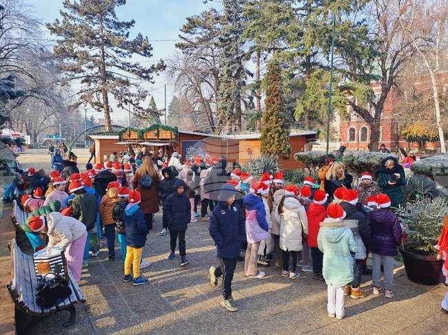 По инициатива на кмета на община Кюстендил днес се състоя инициативата "Елхи на надеждата"