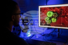 Climate Dominican Republic Coral