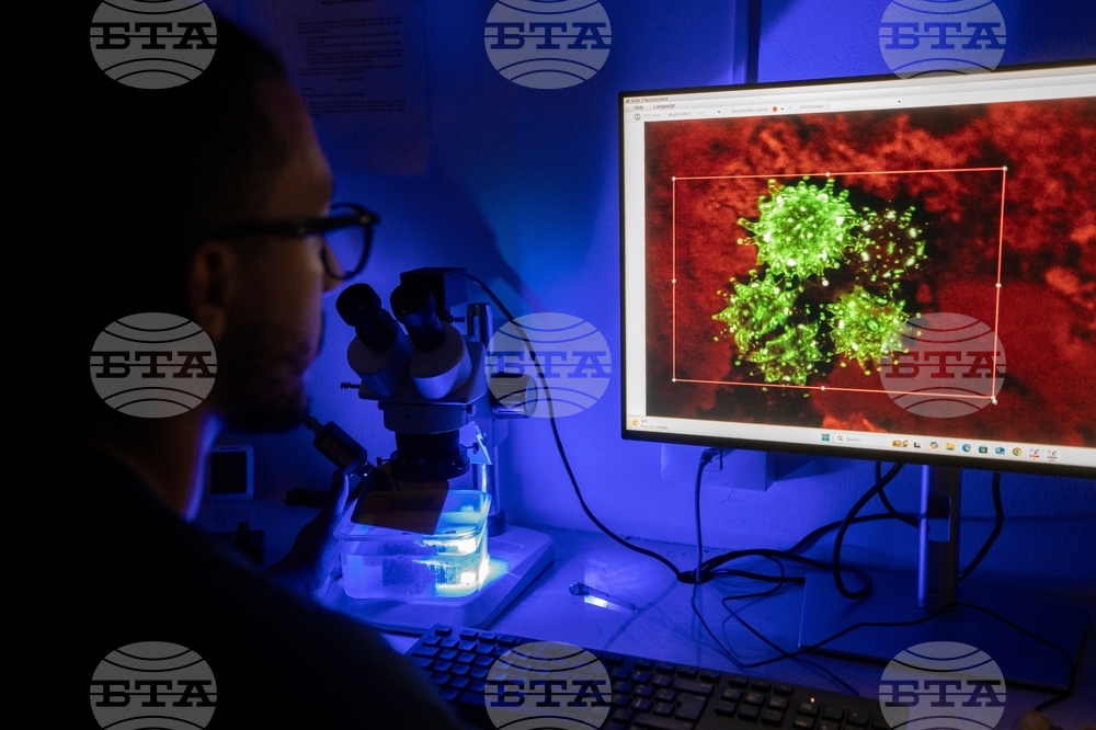 Climate Dominican Republic Coral