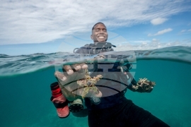 APTOPIX Climate Dominican Republic Coral
