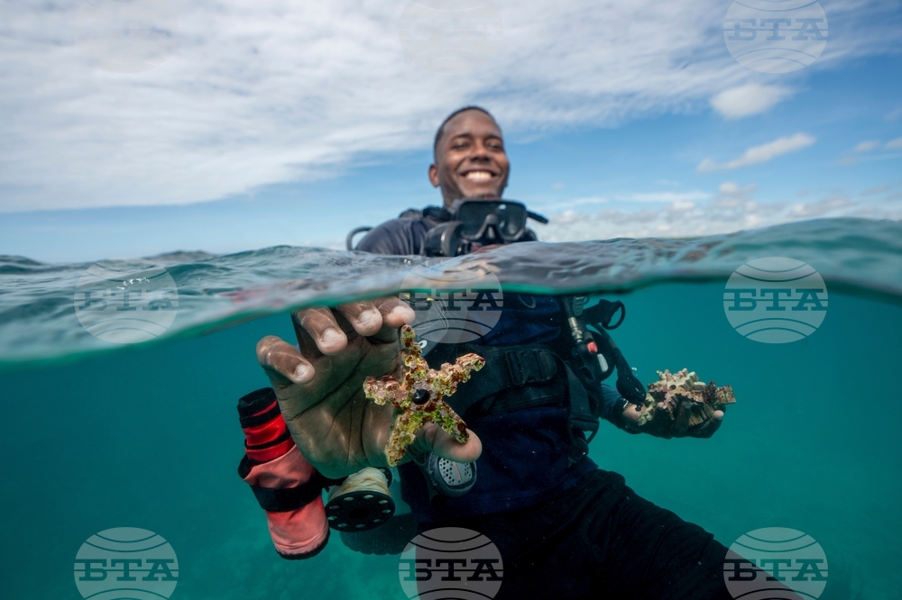 APTOPIX Climate Dominican Republic Coral