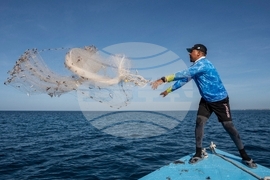 Climate Dominican Republic Coral