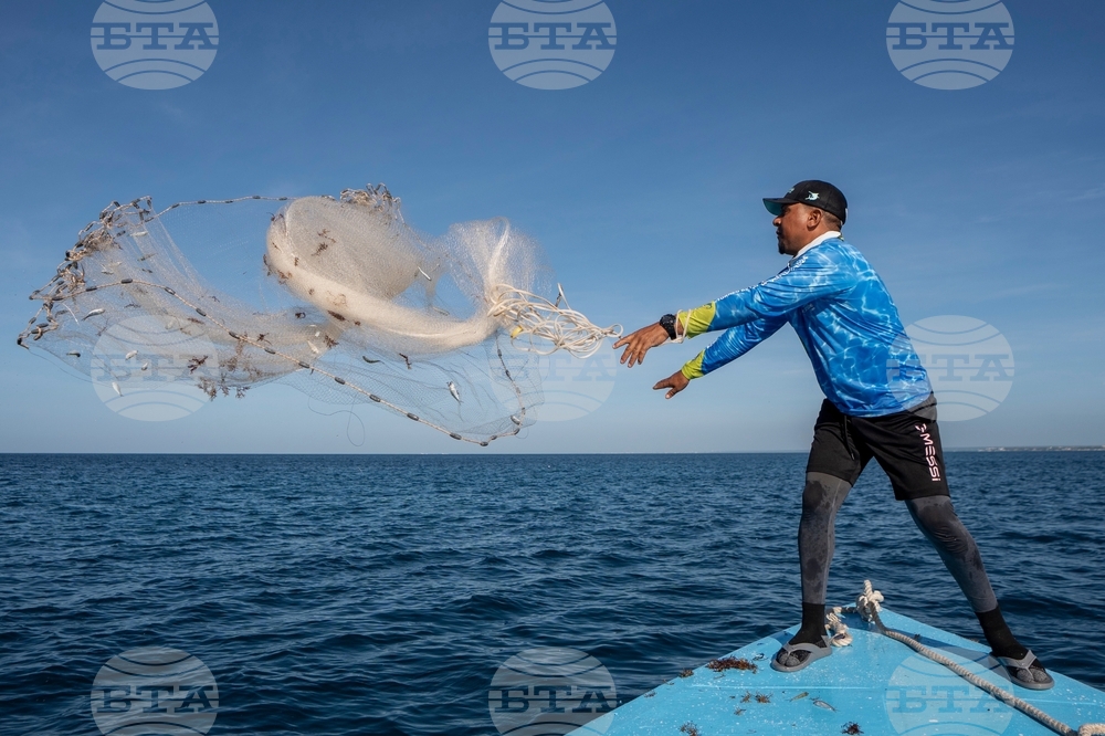 Climate Dominican Republic Coral