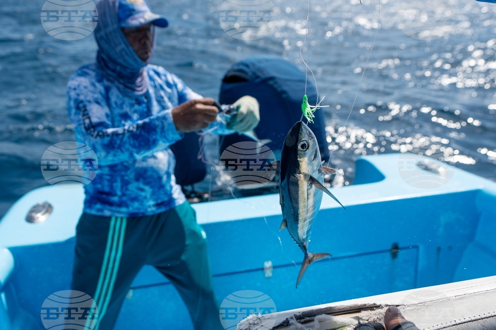 Climate Dominican Republic Coral