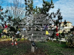 Снимка: Община Шумен