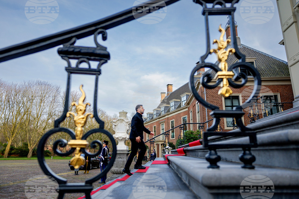 Netherlands Ukraine Zelenskyy