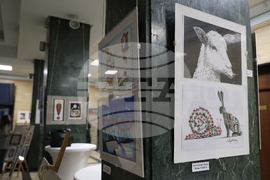 БНР - Обща изложба на карикатурата 2025