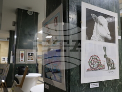 БНР - Обща изложба на карикатурата 2025