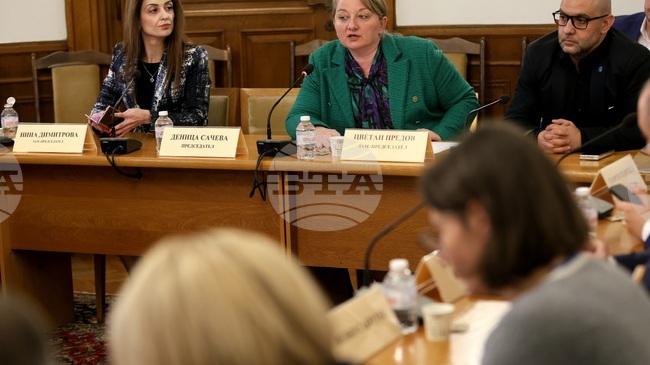 Парламентарната комисия по труда и социалната политика прие на първо гласуване удължителния закон на бюджета за 2026 г.