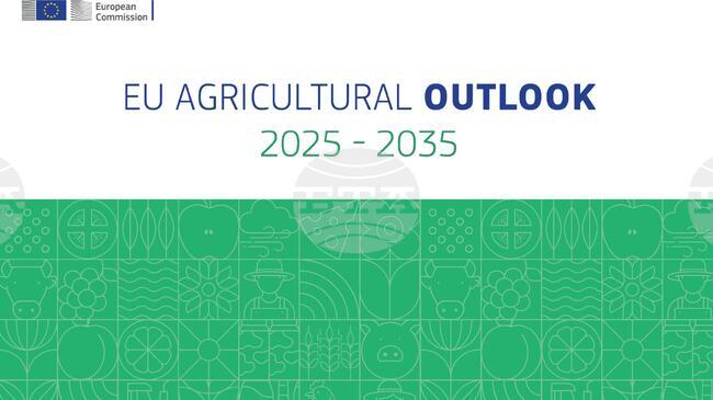 Селскостопански перспективи на ЕС 2025-2035 г.: Земеделието се справя с предизвикателствата, като същевременно се възползва от възможностите