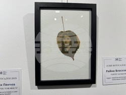 Казанлък - Осми фотографски салон - награда