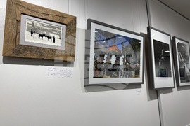 Казанлък - Осми фотографски салон - награда