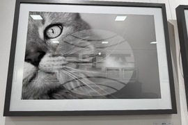 Казанлък - Осми фотографски салон - награда